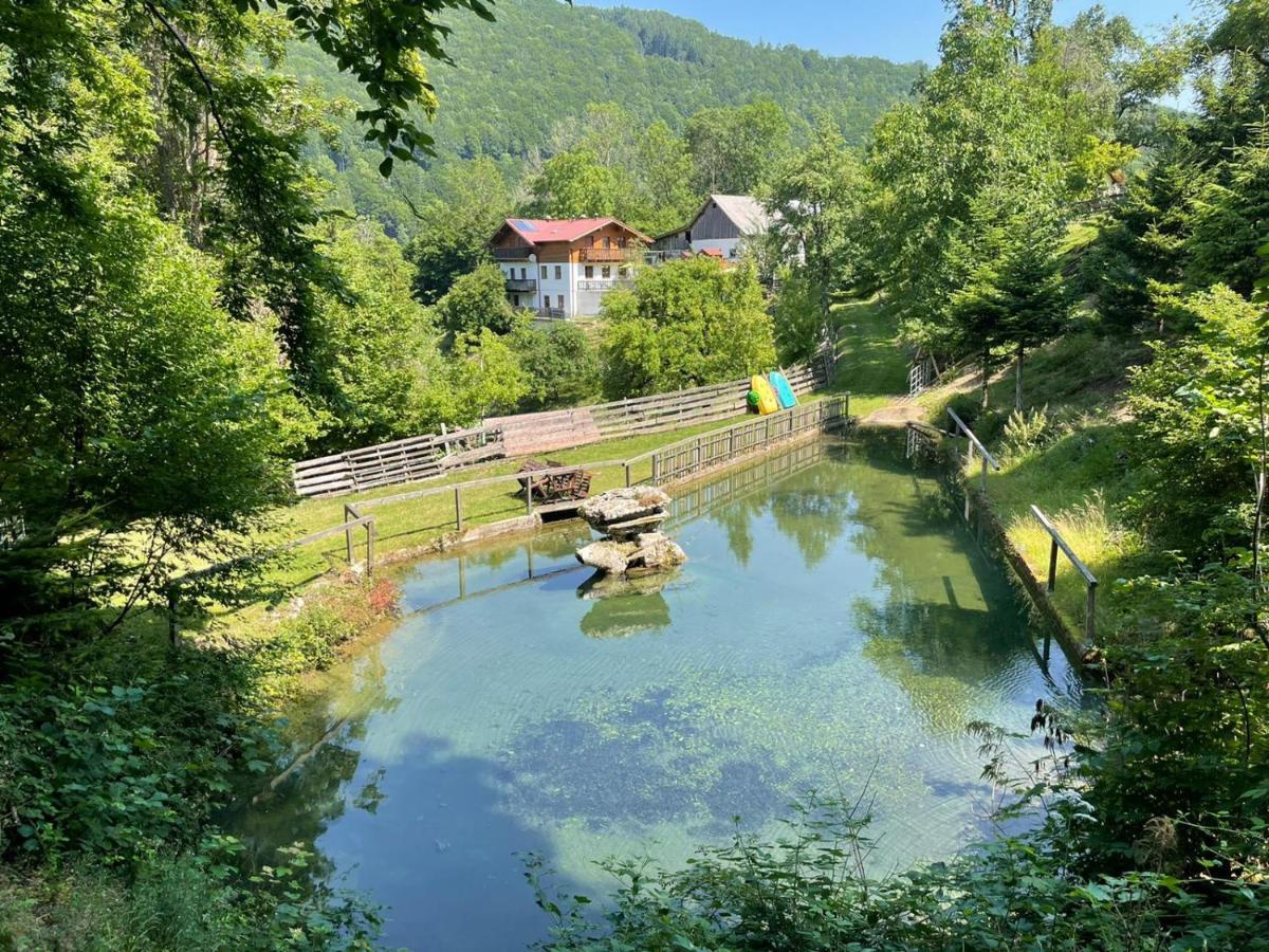 Buechlhof - App. Breitenstein Lilienfeld Экстерьер фото