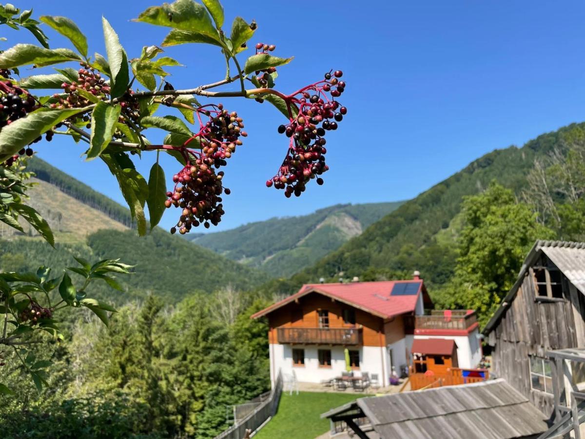Buechlhof - App. Breitenstein Lilienfeld Экстерьер фото